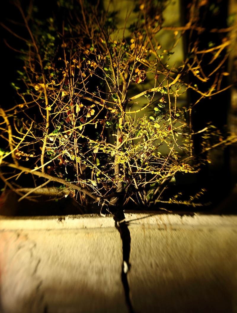 Illustration for article titled Shooting Challenge: Shattered Gallery 2